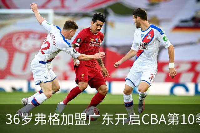 36岁弗格加盟广东开启CBA第10季 追逐第五个总冠军